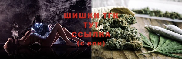 гашик Лабытнанги
