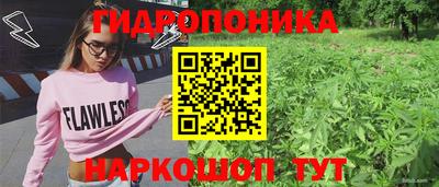 MDMA Кингисепп