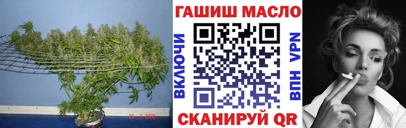 ТГК концентрат Миллерово
