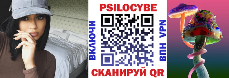 Псилоцибиновые грибы Psilocybe Миллерово
