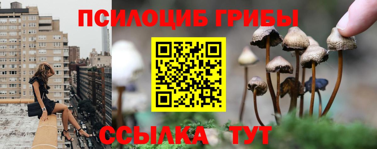 Галлюциногенные грибы ЛСД  Вход с VPN  Миллерово  Галлюциногенные грибы прущие грибы 
